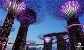 CHÀO HÈ 2023 : HÀ NỘI – SINGAPORE – MALAYSIA – HÀ NỘI